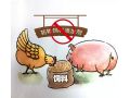 飼料“禁抗”新政出臺(tái)，行業(yè)準(zhǔn)備好了嗎？