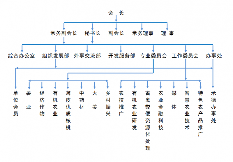 組織結(jié)構(gòu)